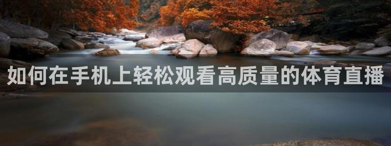 河豚体育足球直播：如何在手机上轻松观看高质量的体育直播