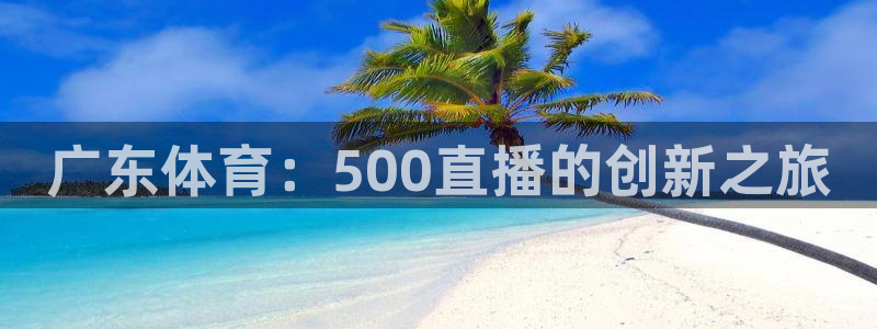 河豚看球：广东体育：500直播的创新之旅