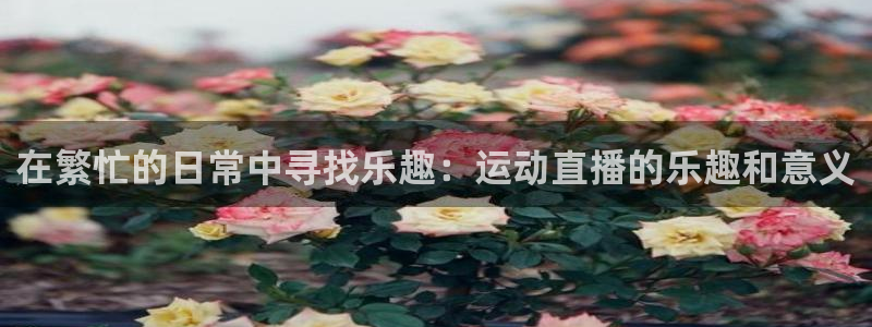 河豚视频：在繁忙的日常中寻找乐趣：运动直播的乐趣和意义